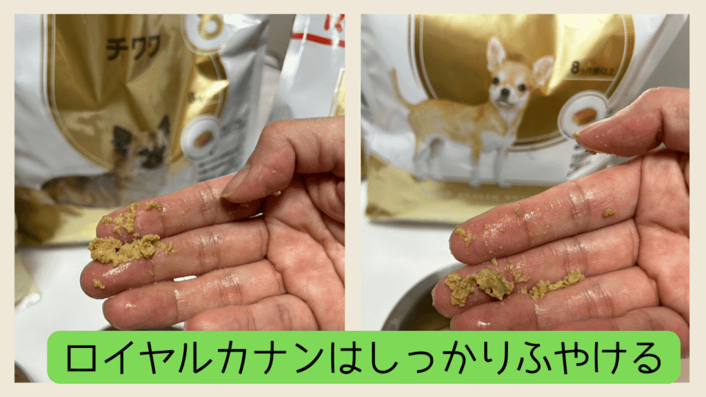 ロイヤルカナンはしっかりふやける
