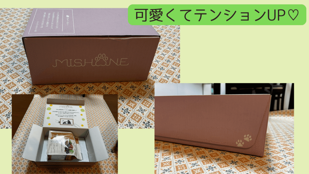 ミシュワンは可愛い箱に入ってくる